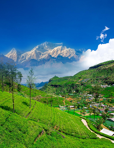 Darjeeling Holiday Besties